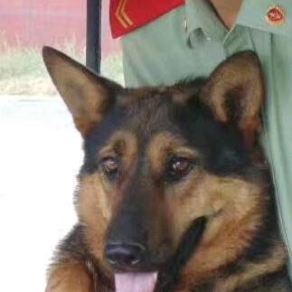 不抛弃，不放弃