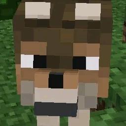 我的世界Z🤟🤪🫴