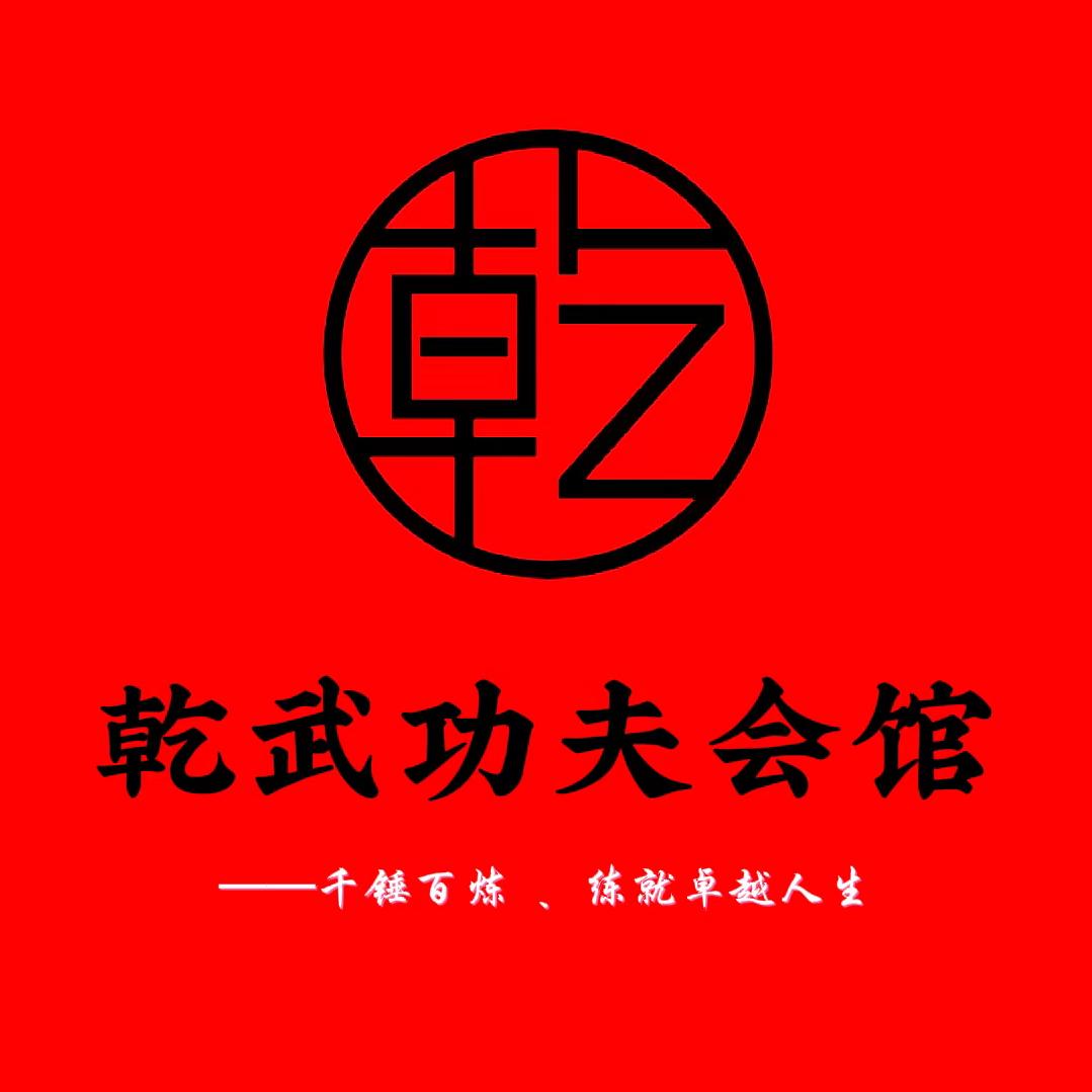 铜陵乾武功夫会馆 旗舰店