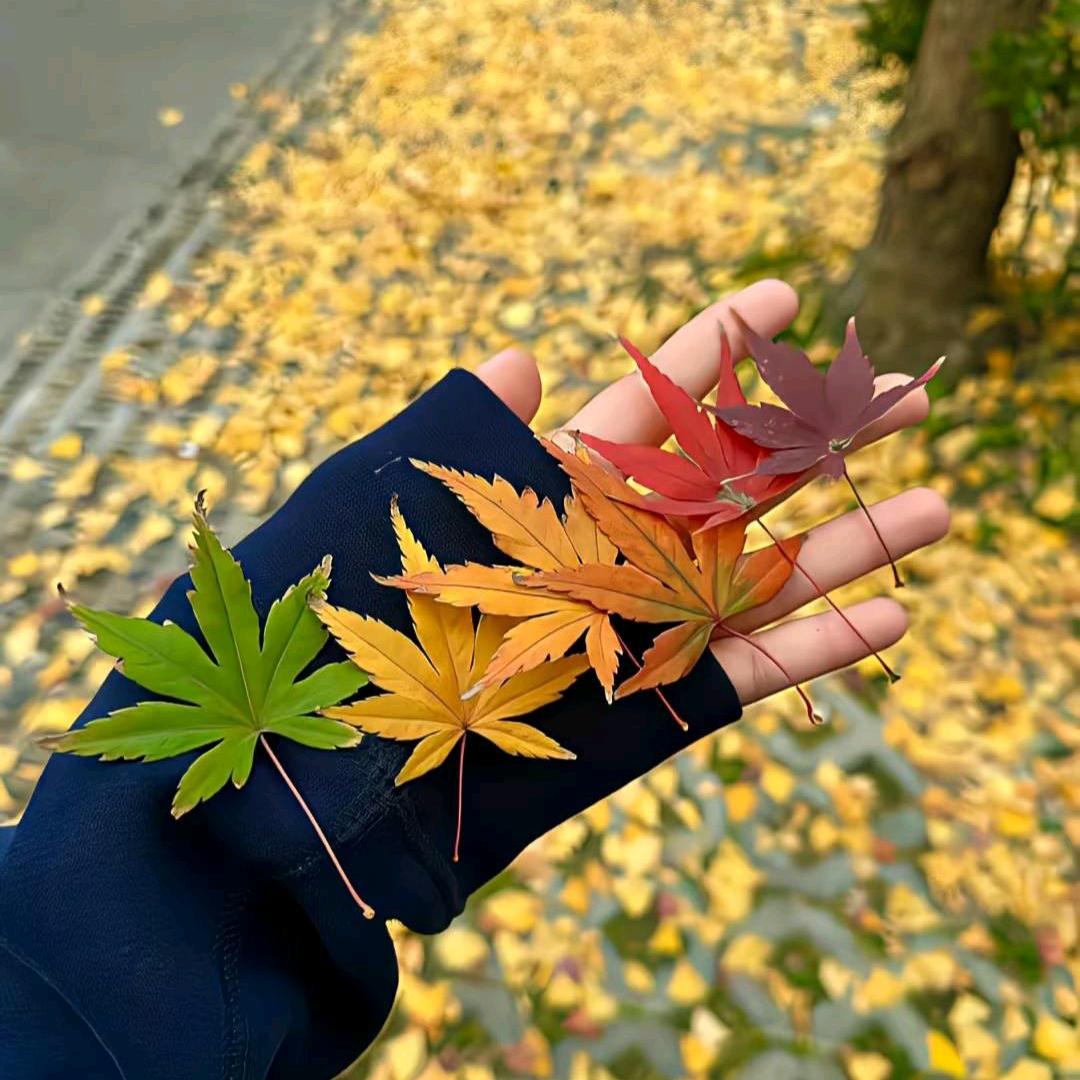 妞妞扭不动