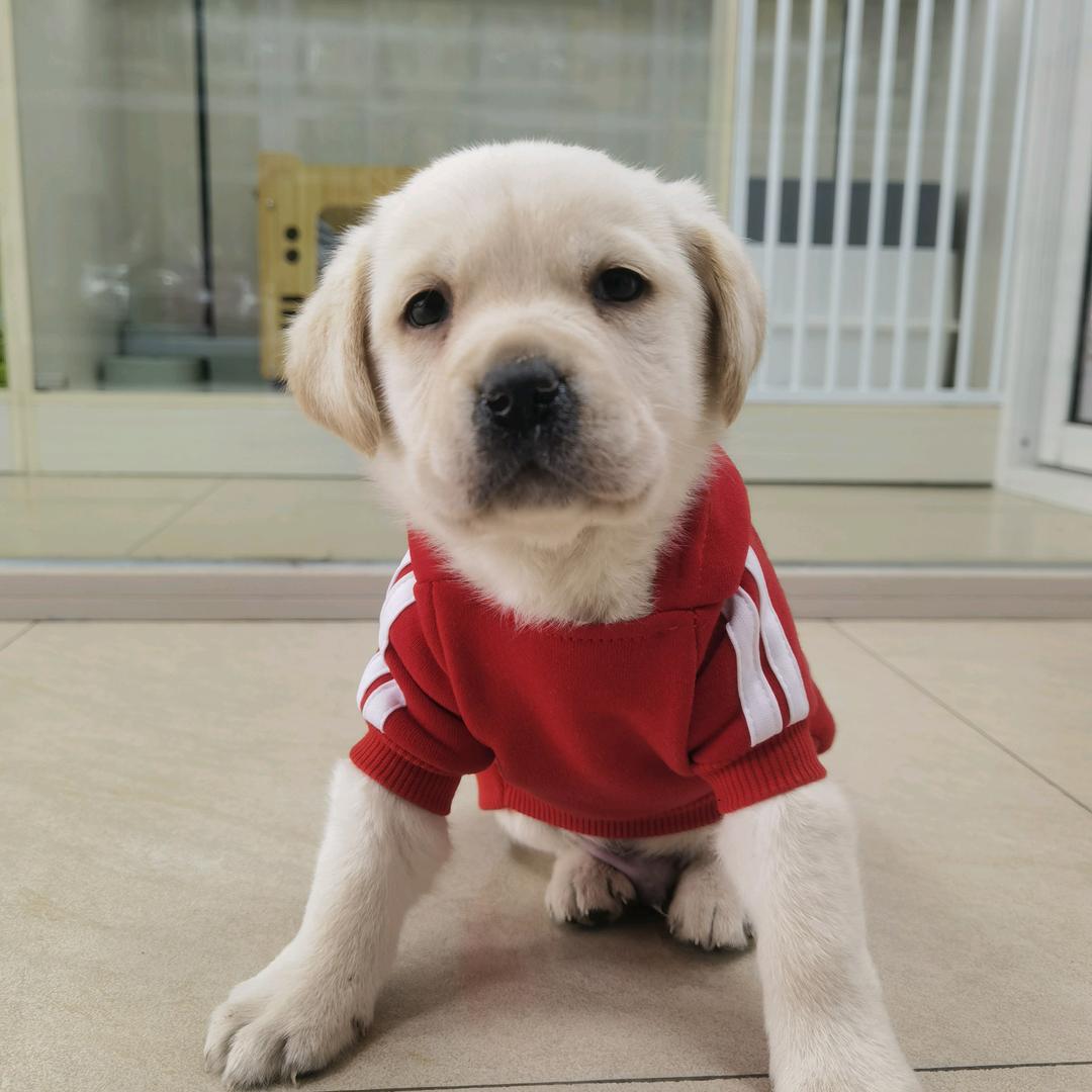 一人一宠生活馆