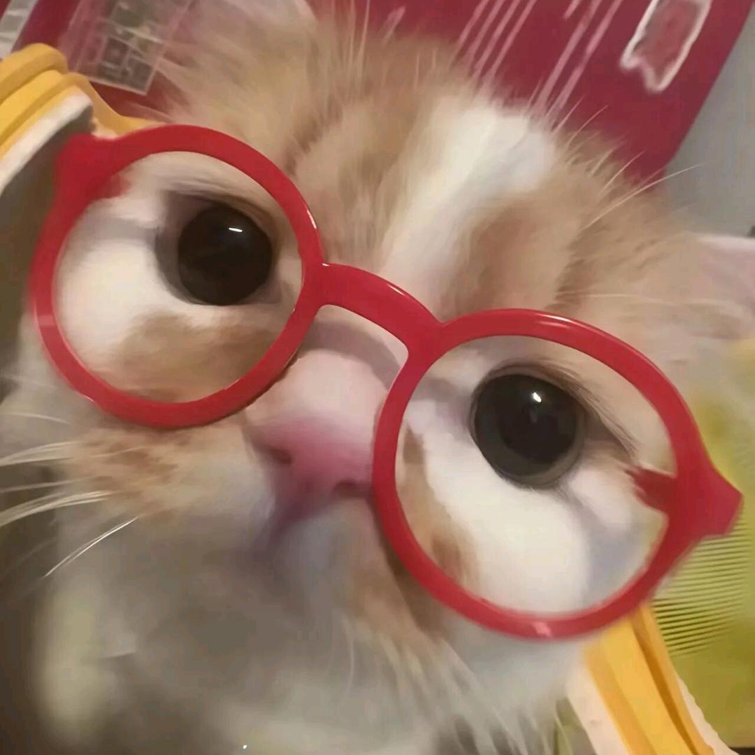 一只困困🐟.💤