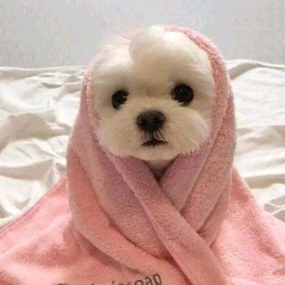 小葡萄分享
