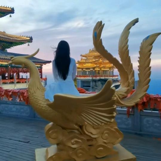 范姐姐～结善缘3️⃣