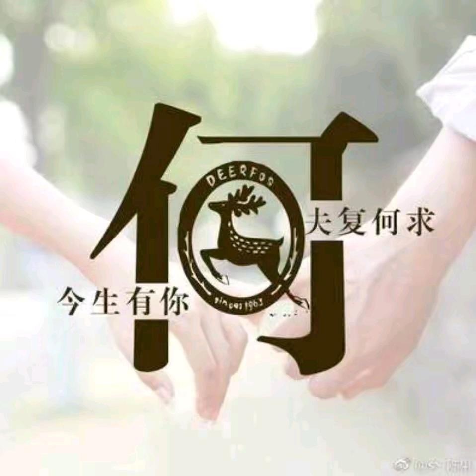 何仔