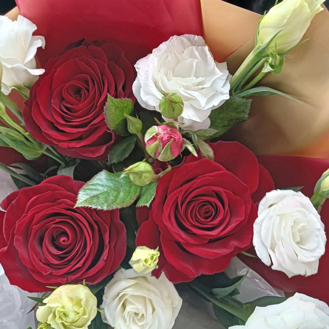 🐉⁰².₁₈李℘࿐