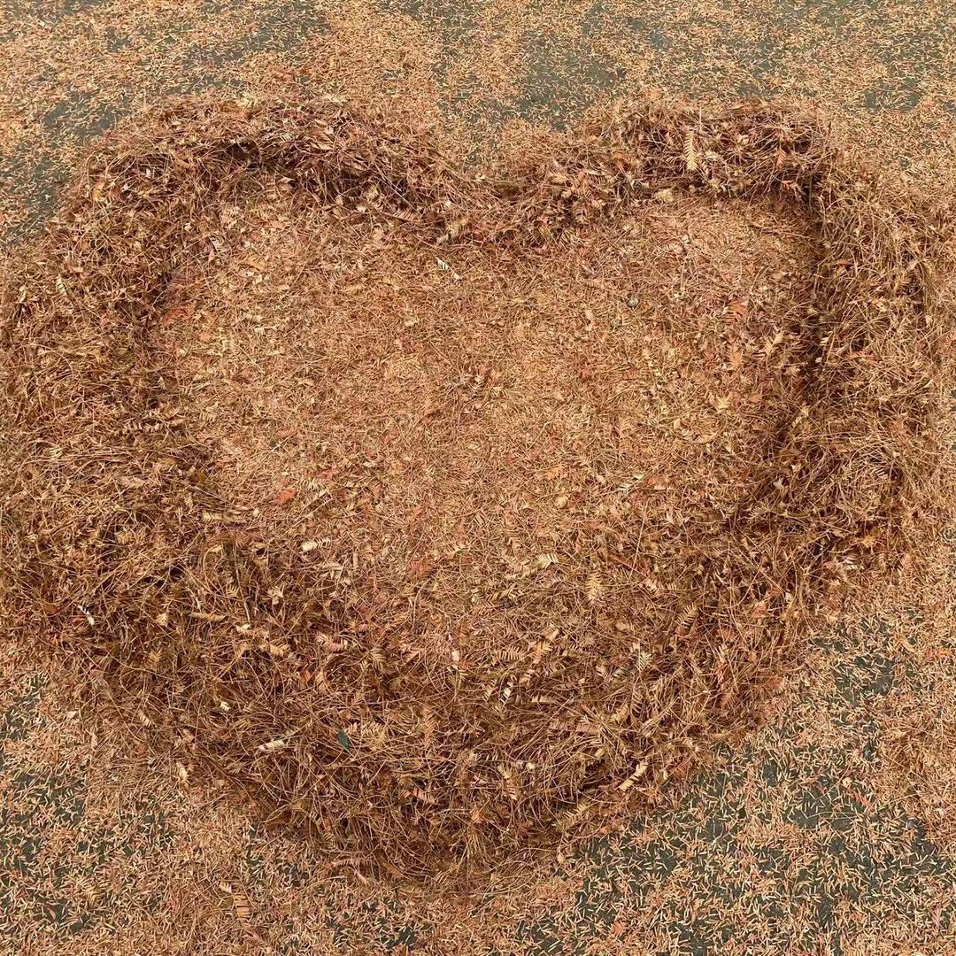 ༺༃梦$༒$魇༃༻