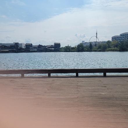 龙翔金弹子园艺