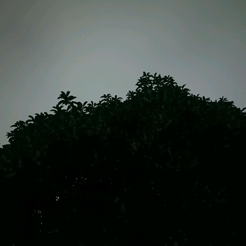 长江