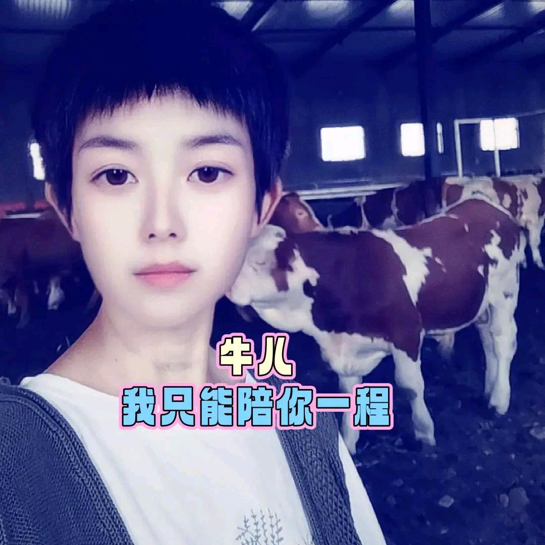 河北锦泽牧业