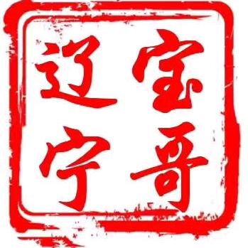 辽宁宝哥_