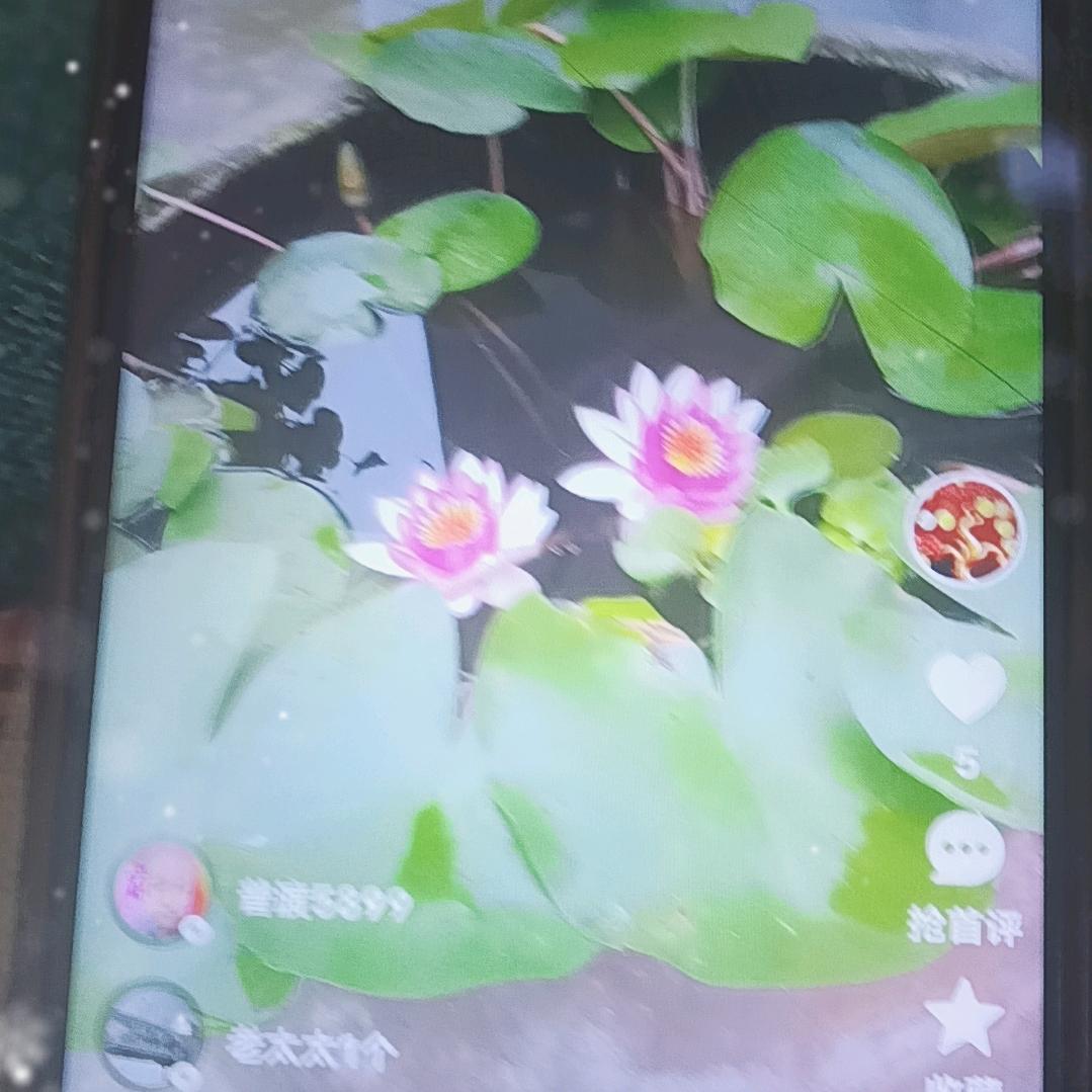 用户344282583467