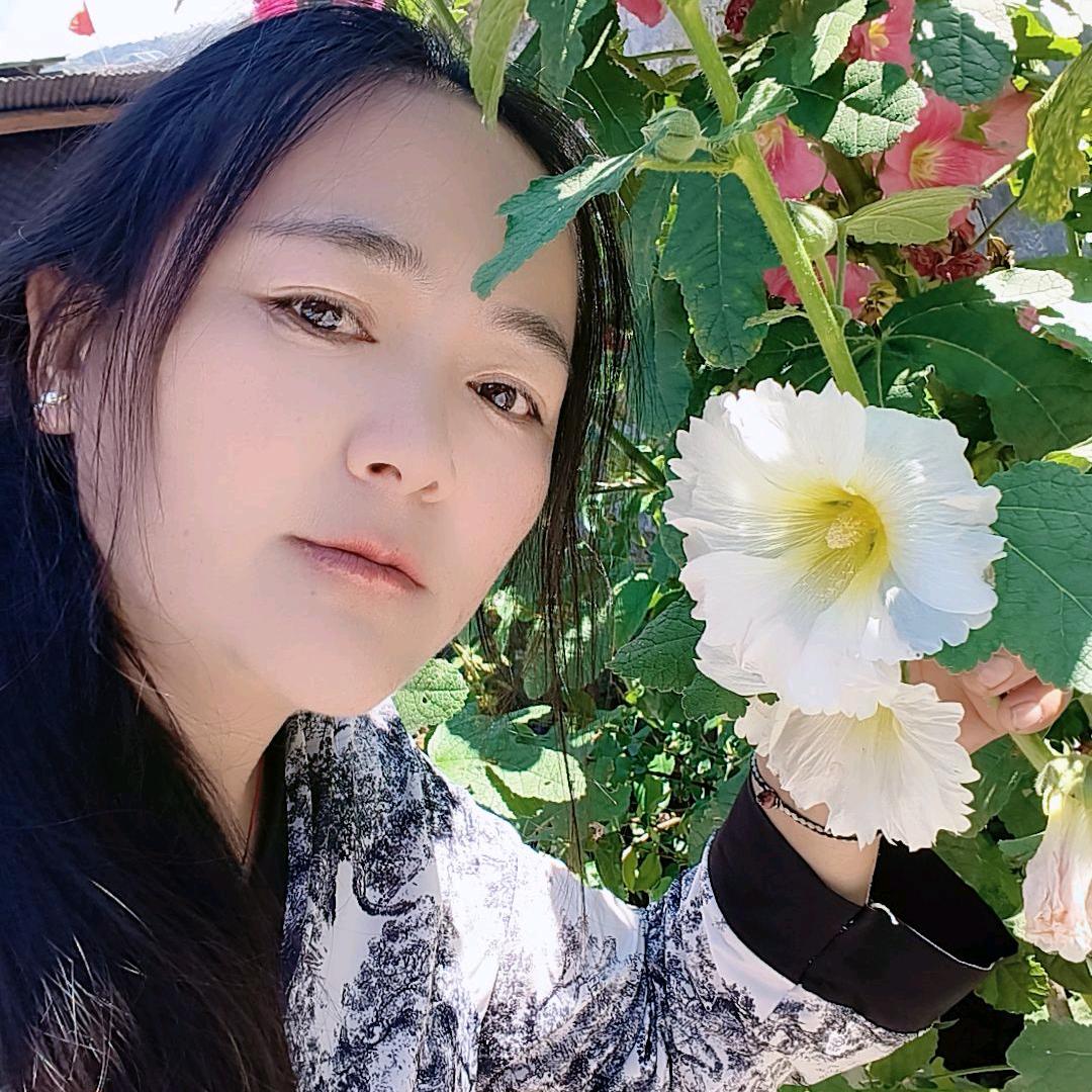 郁金香🌷