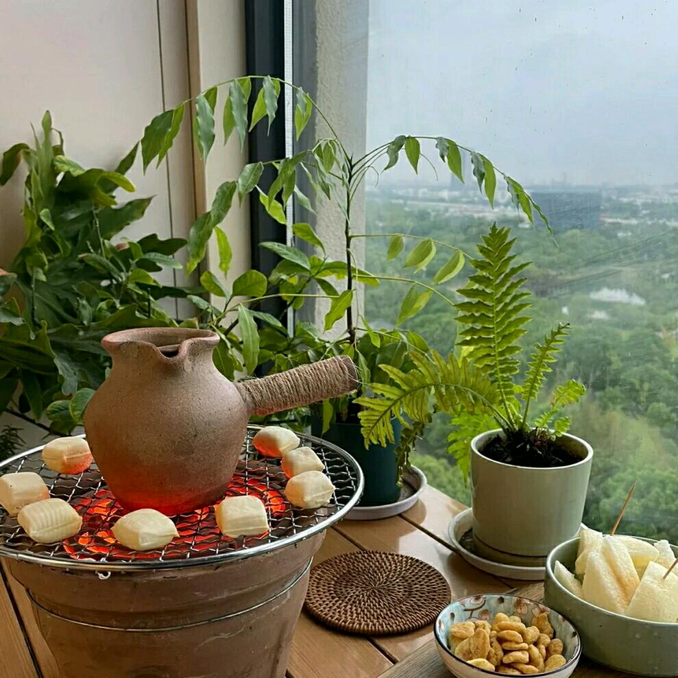 暖心向阳