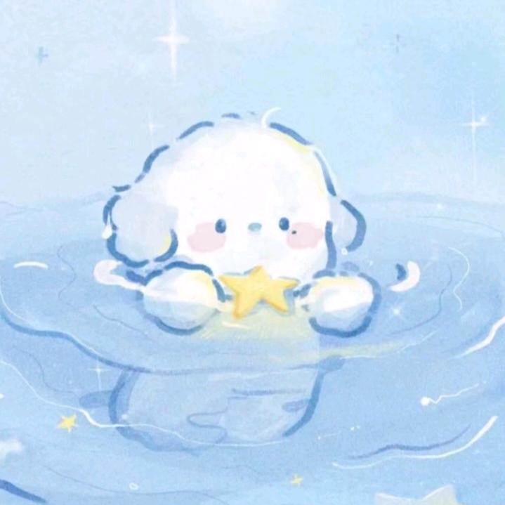 星仔酱酱