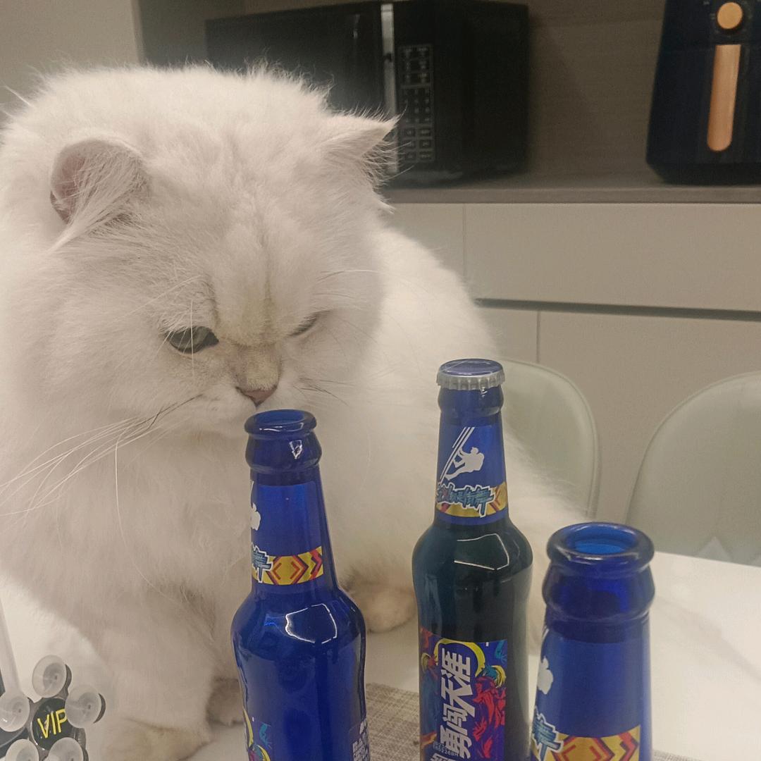 毛绒绒.