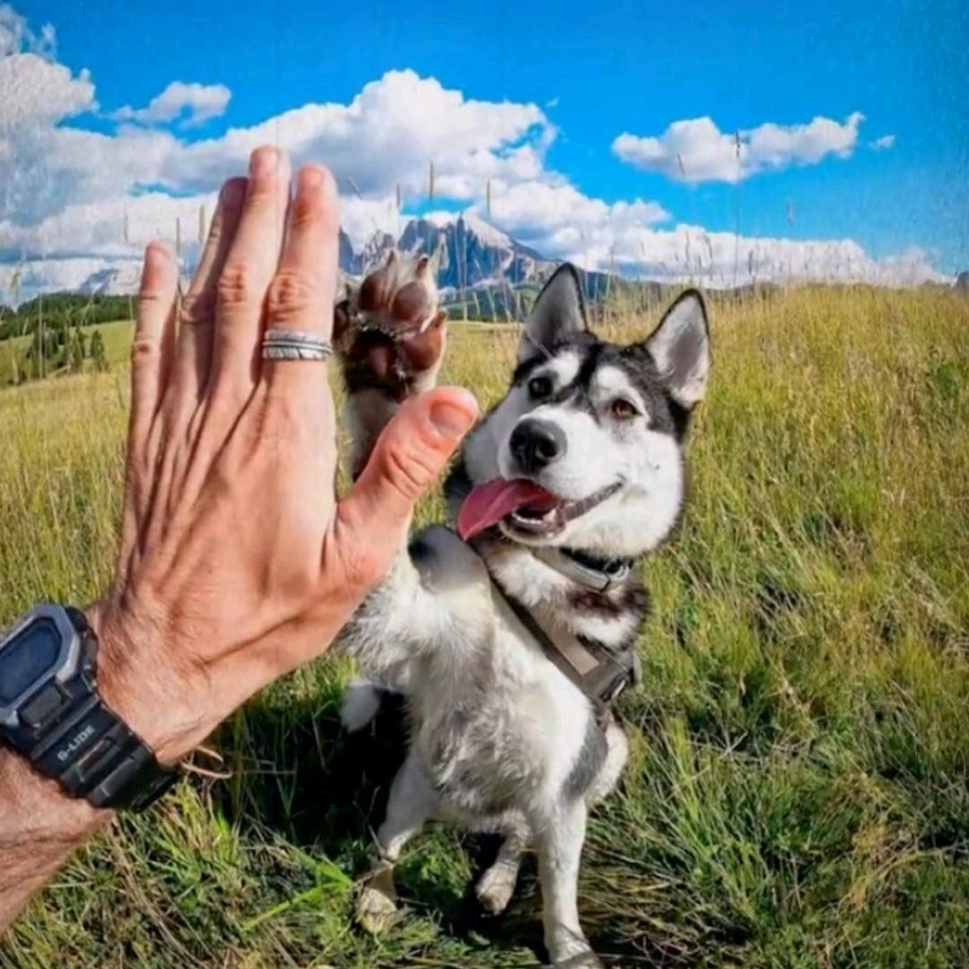 💫✨岁月静好✨💫