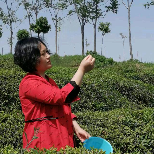 红姐在陪读14:10