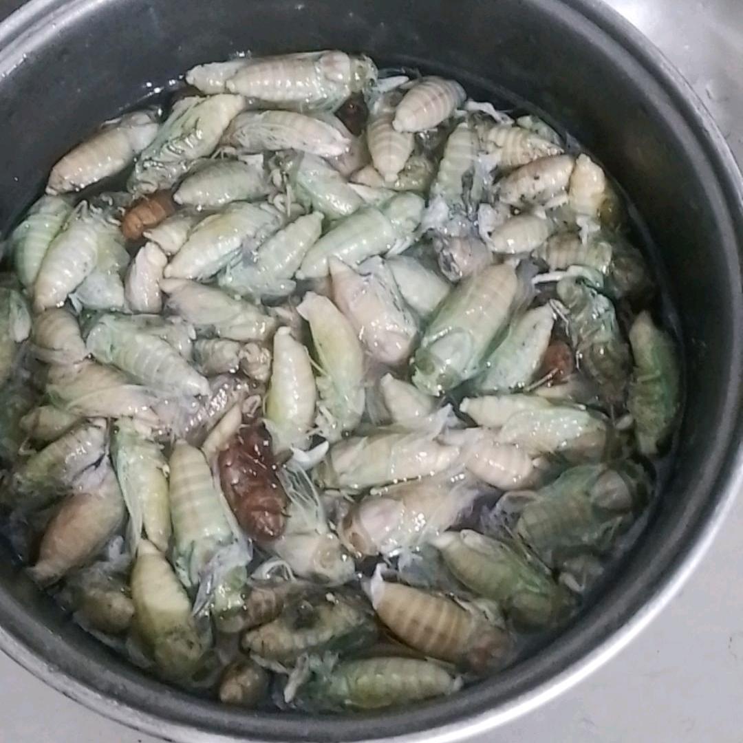 上饶户外钓黄鳝快乐哥