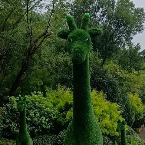 谢兵