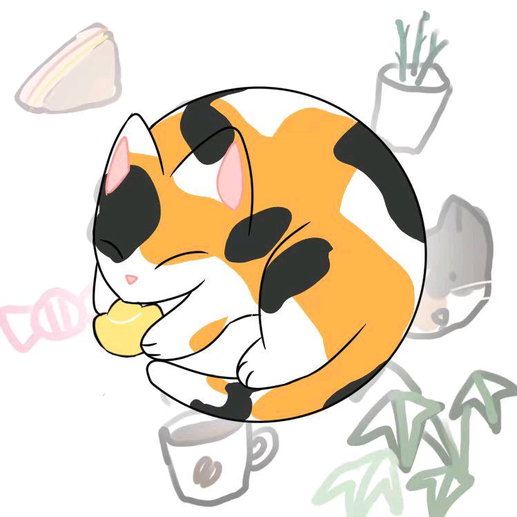 小馋猫