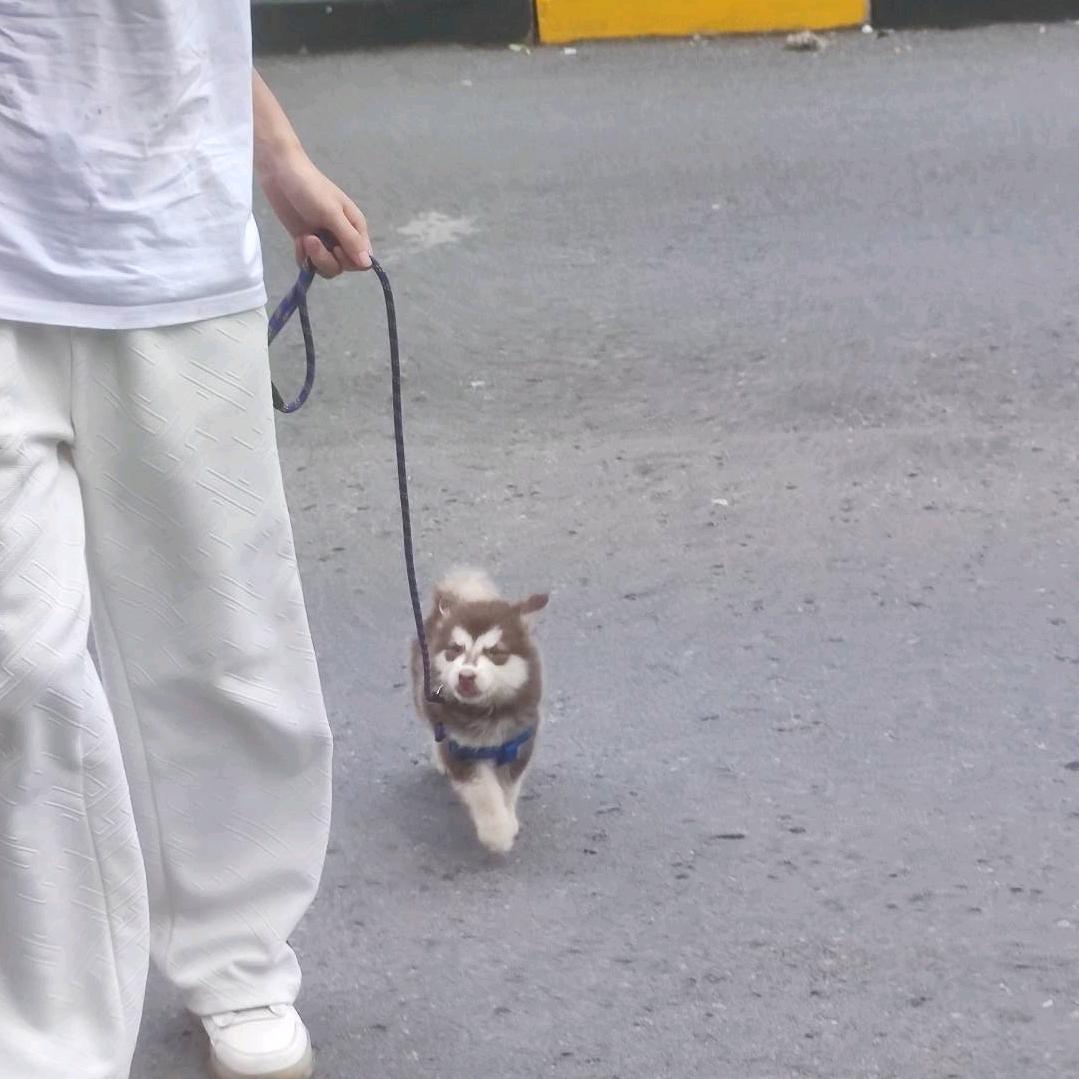 白粥