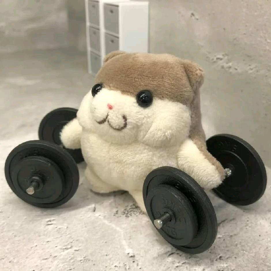 这碗炒饭真的香