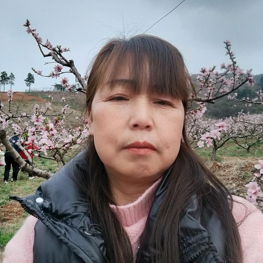 杨杨*
