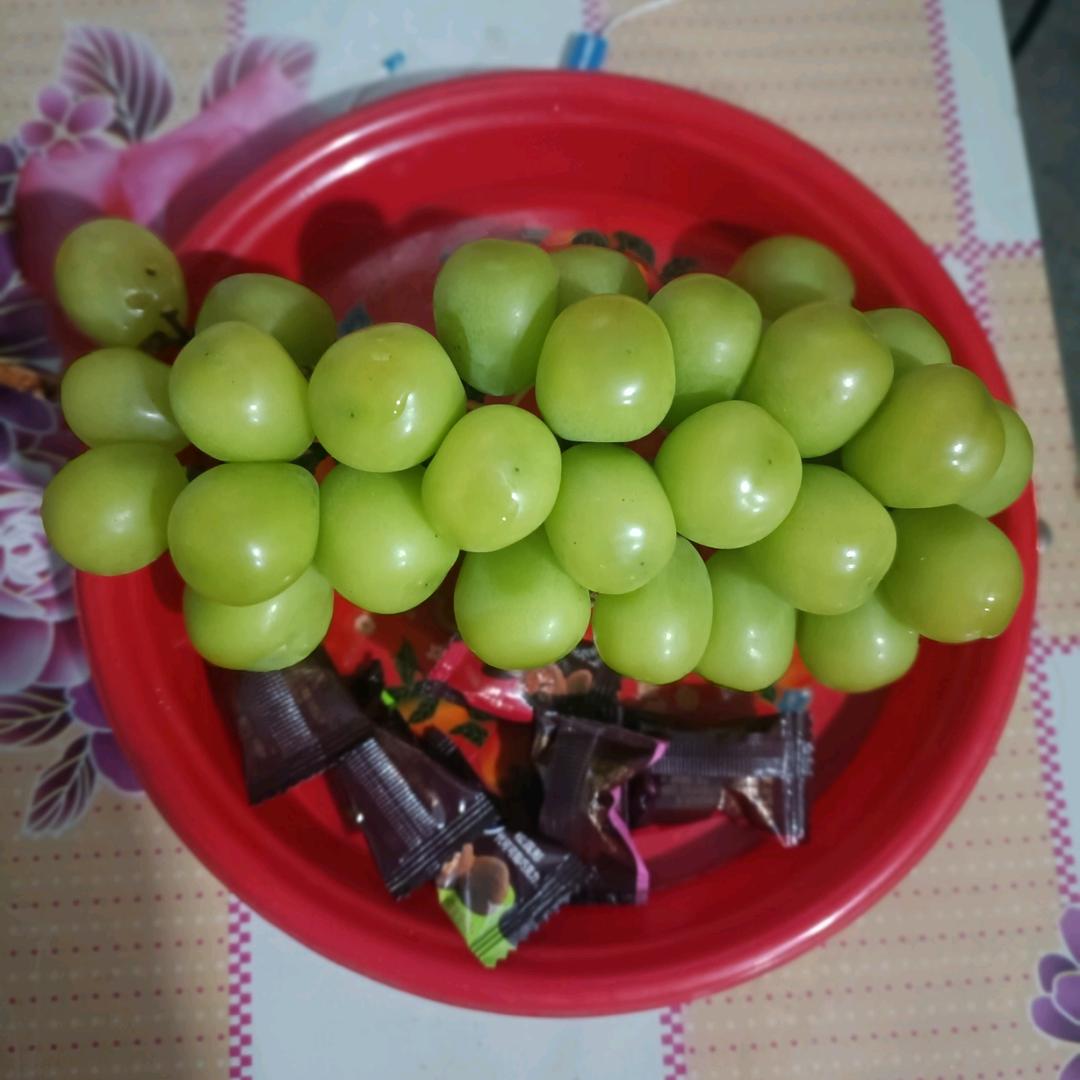 风之女朗