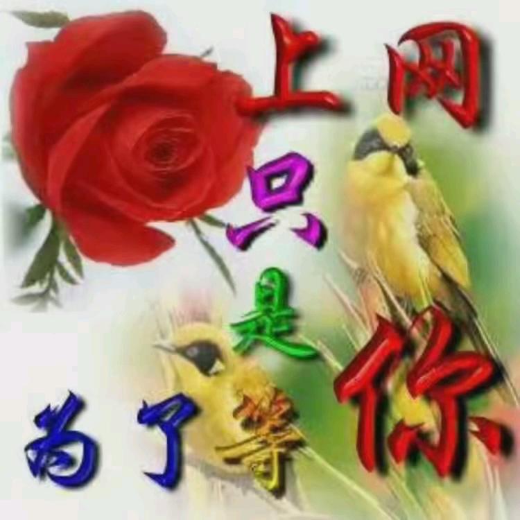 好运常伴