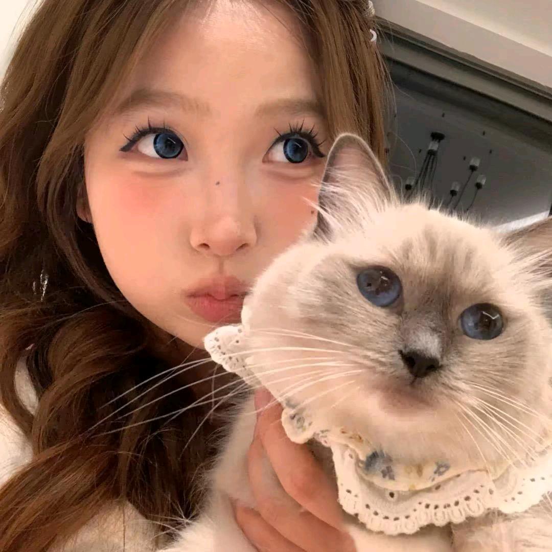睿睿睿睿睿哎