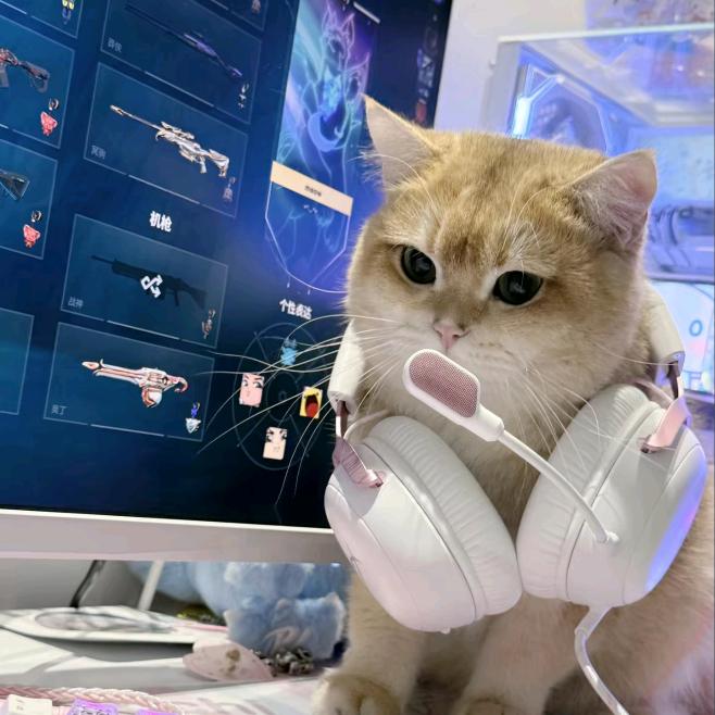 给老寒腿喷云南白药