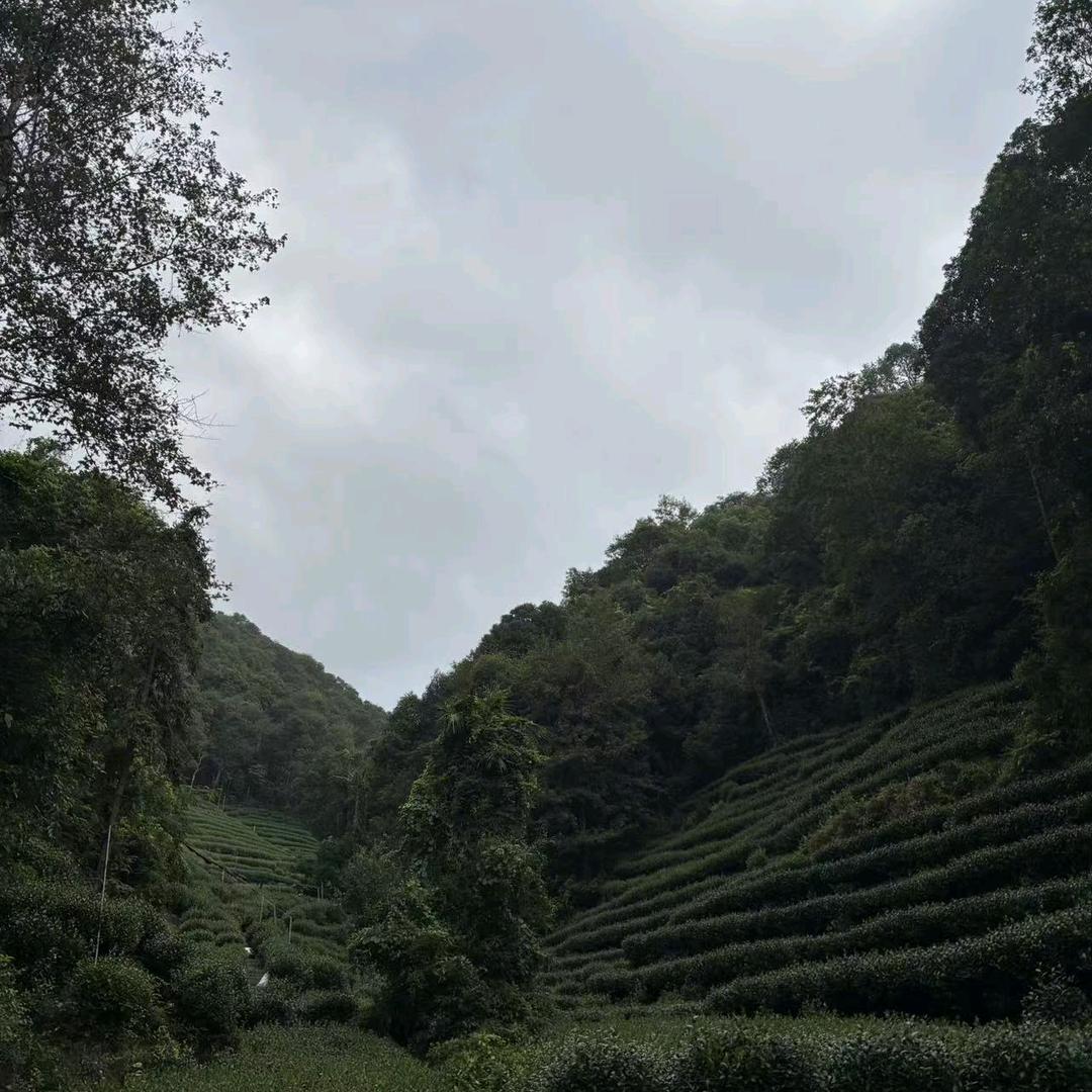 走遍户外弟弟