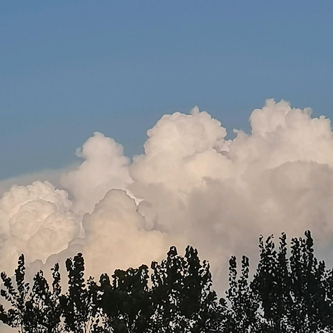 ঞ🍒兜兜꧔ꦿ᭄有钱࿐ᩚ