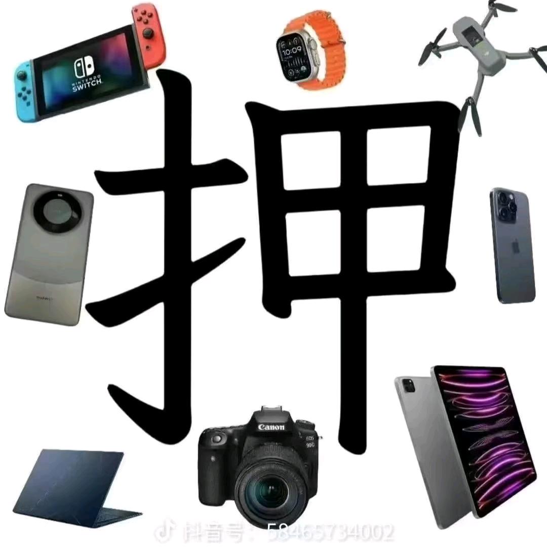 安阳-嘉佑赛鸽