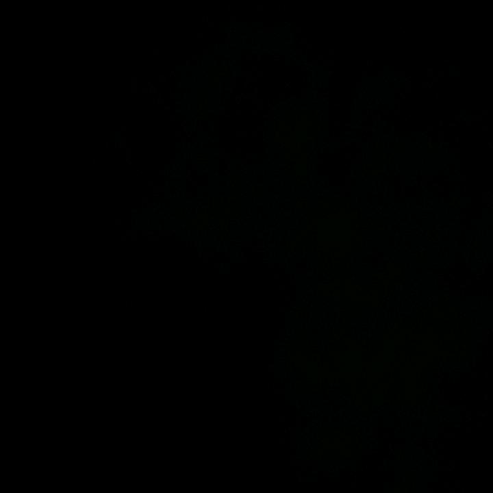 无痛苦之人