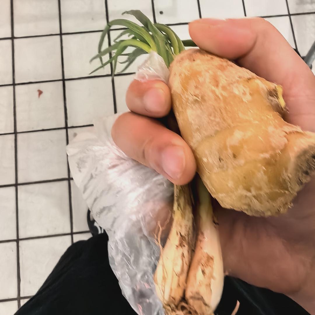 小财迷