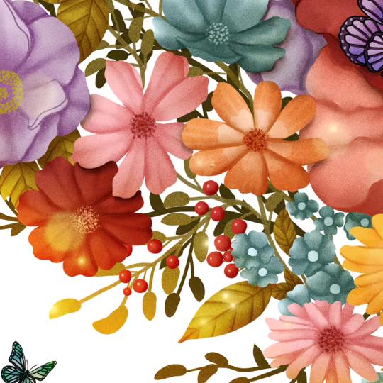 美丽的菊花(拒绝私聊)、互相关注