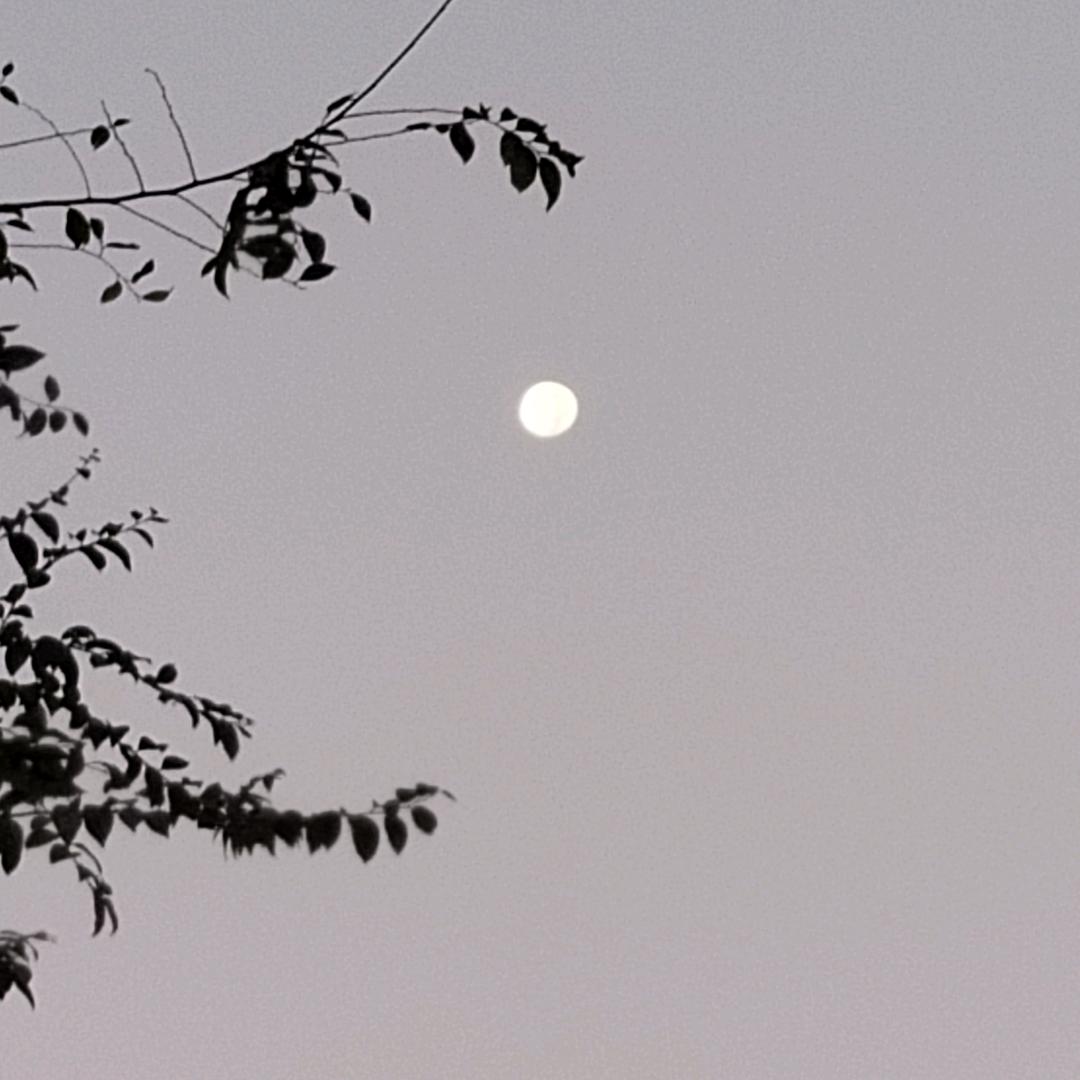 何星驰