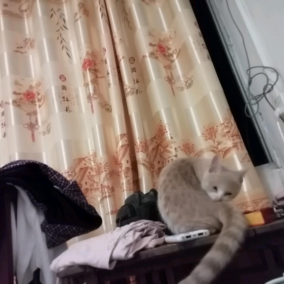 发财