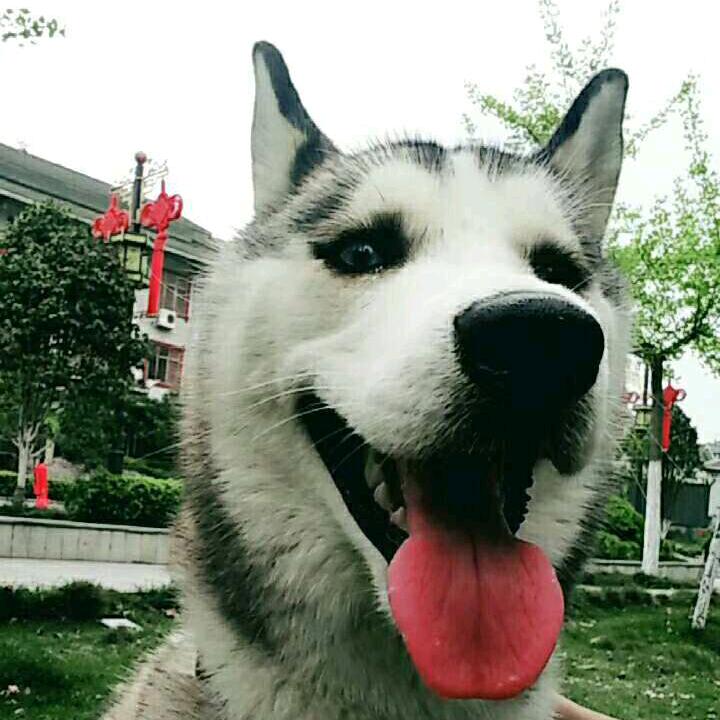 晚霞换月头像