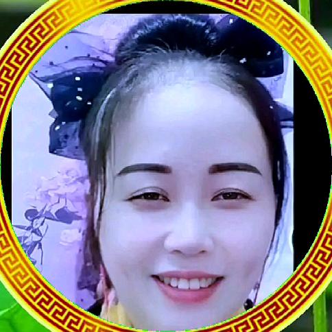 贵州杨柳