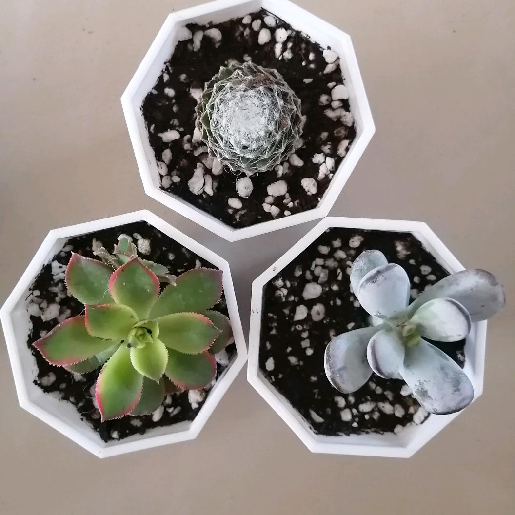 鄂尔多斯康巴什万力家居