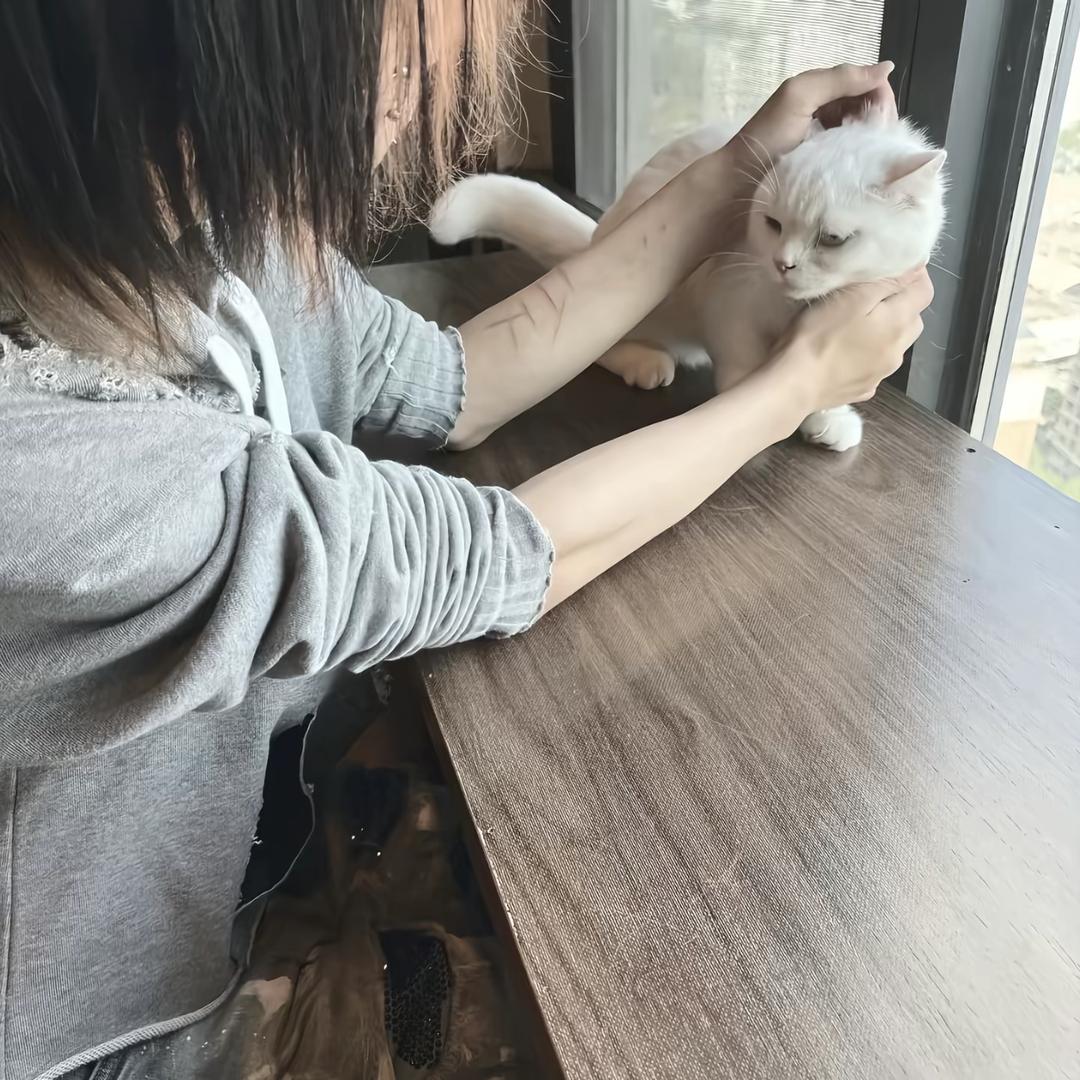 人傻嘴不甜长得危险还没钱