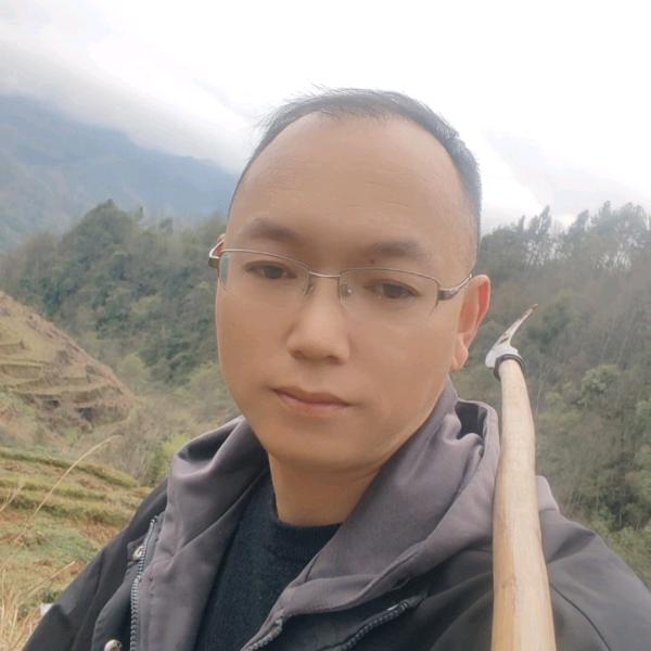 百合种子、种球、高品种植基地