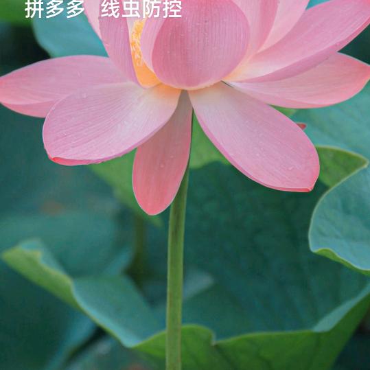 遇见你