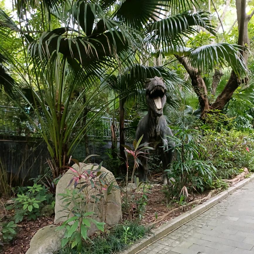 幻影雷雨