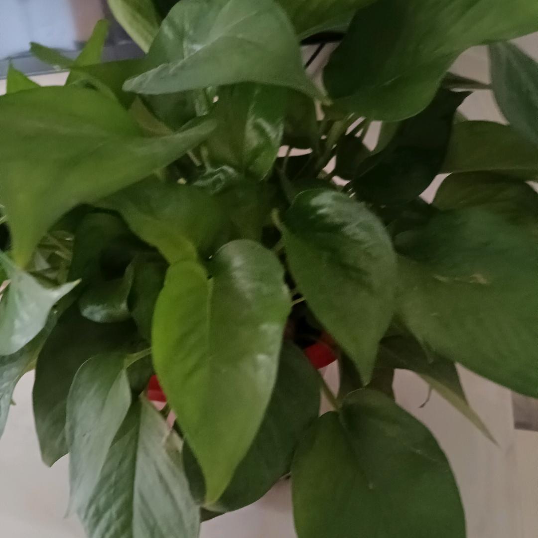 生活美好一天