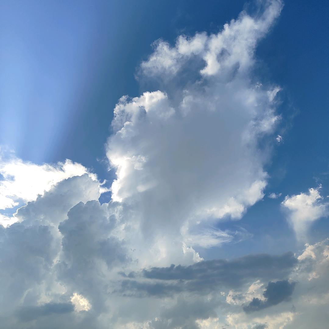 小新蜡笔装修开始中