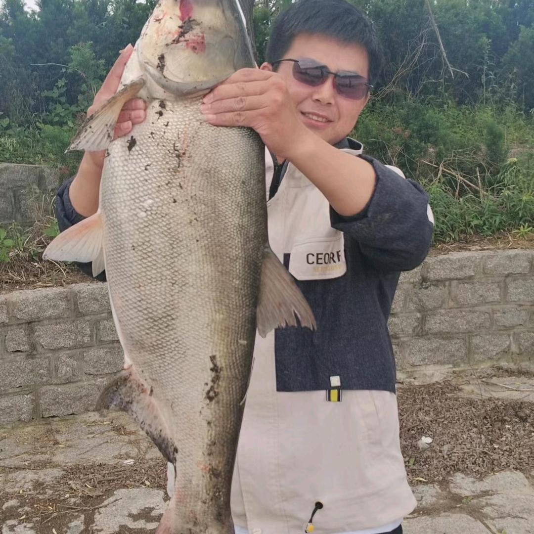 小陈 总爱钓鱼
